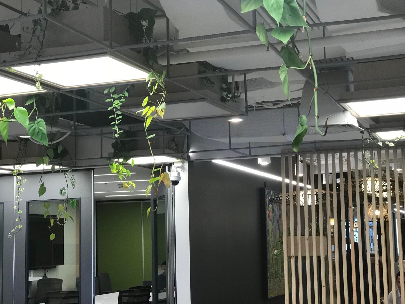 Security Systems - Image 4